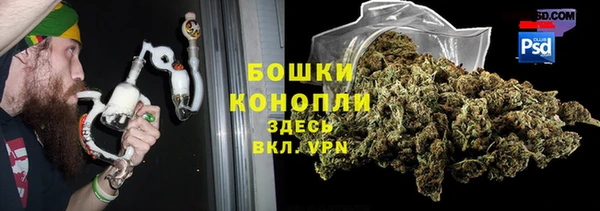 ПСИЛОЦИБИНОВЫЕ ГРИБЫ Белая Холуница